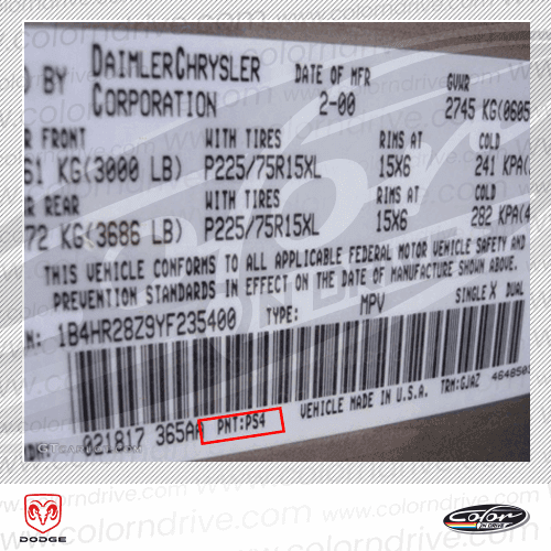 RAM paint code label example 1