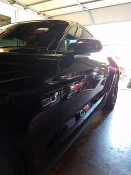 Photo by Steve D 2
