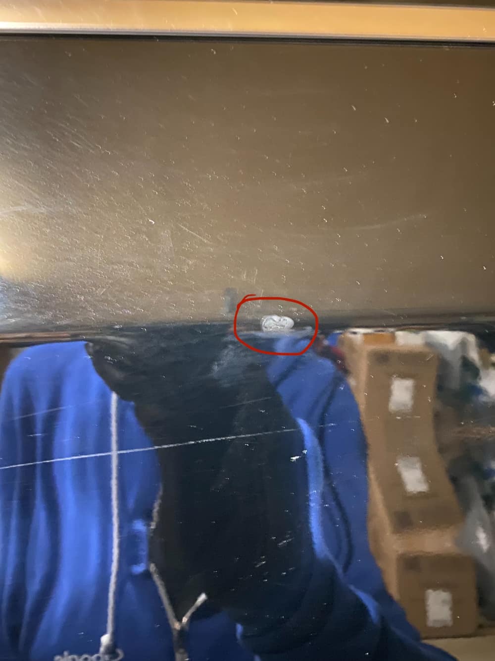 Foto de Kevin 2